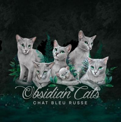 Obsidian Cats, levage de Russe
